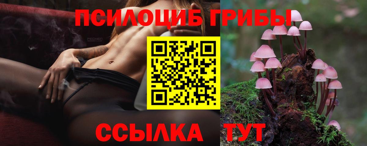 Псилоцибиновые грибы мицелий  Вход с VPN  Канаш  Галлюциногенные грибы Cubensis 