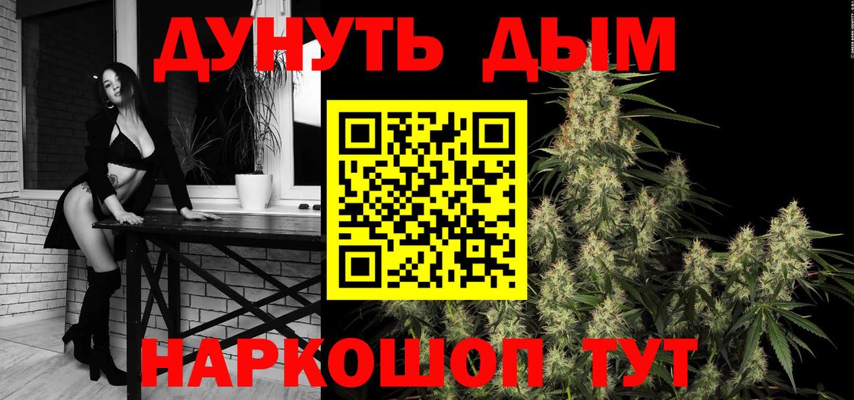 Каннабис планчик  МАРИХУАНА семена  Вход с VPN  Канаш  Марихуана THC 21% 